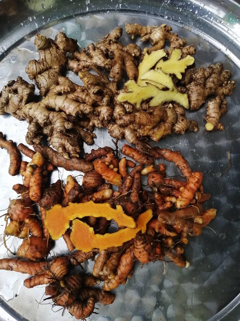 Fresh and Dry Ginger